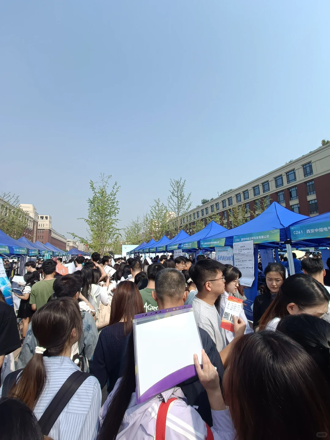 西交双选会
