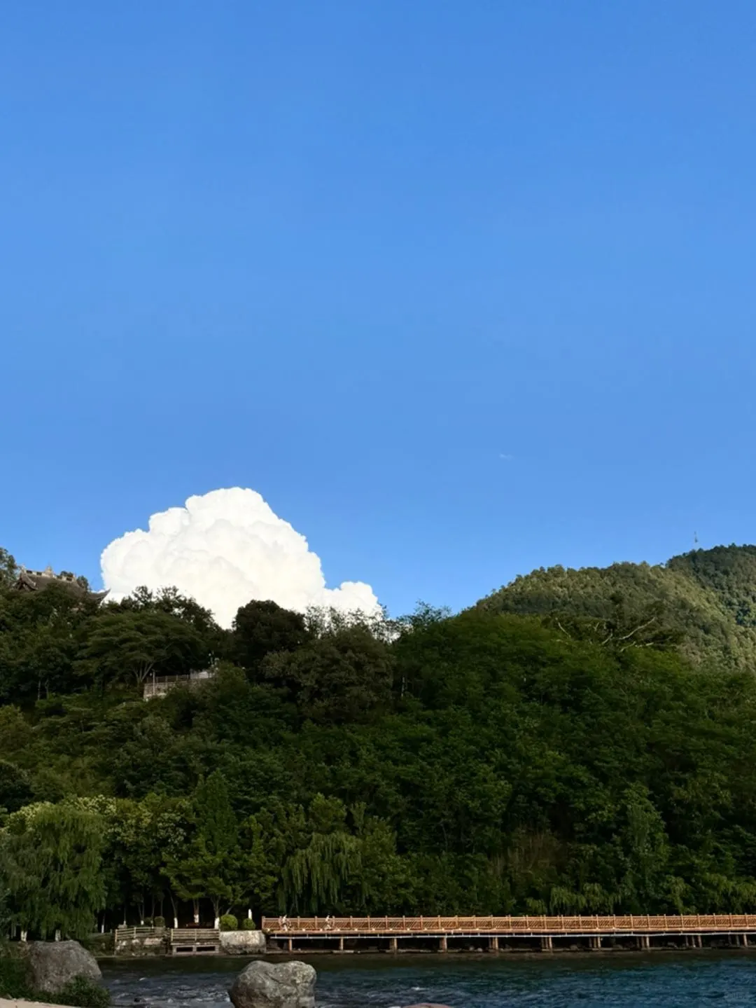 艺术生可以大胆投的——动画外企