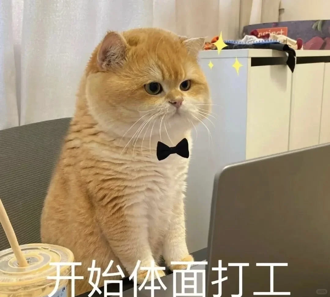 地址：华山