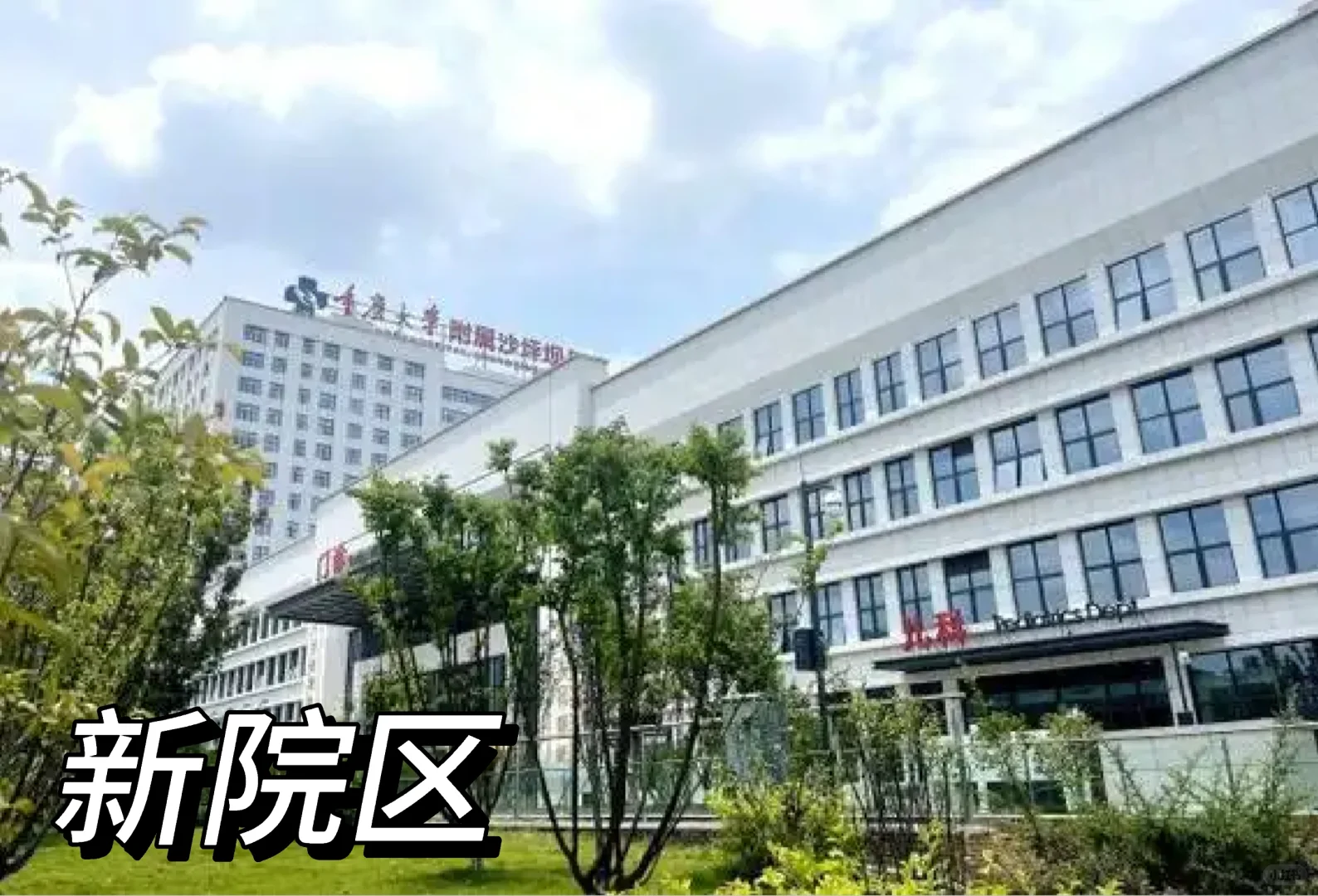 新院区招护理