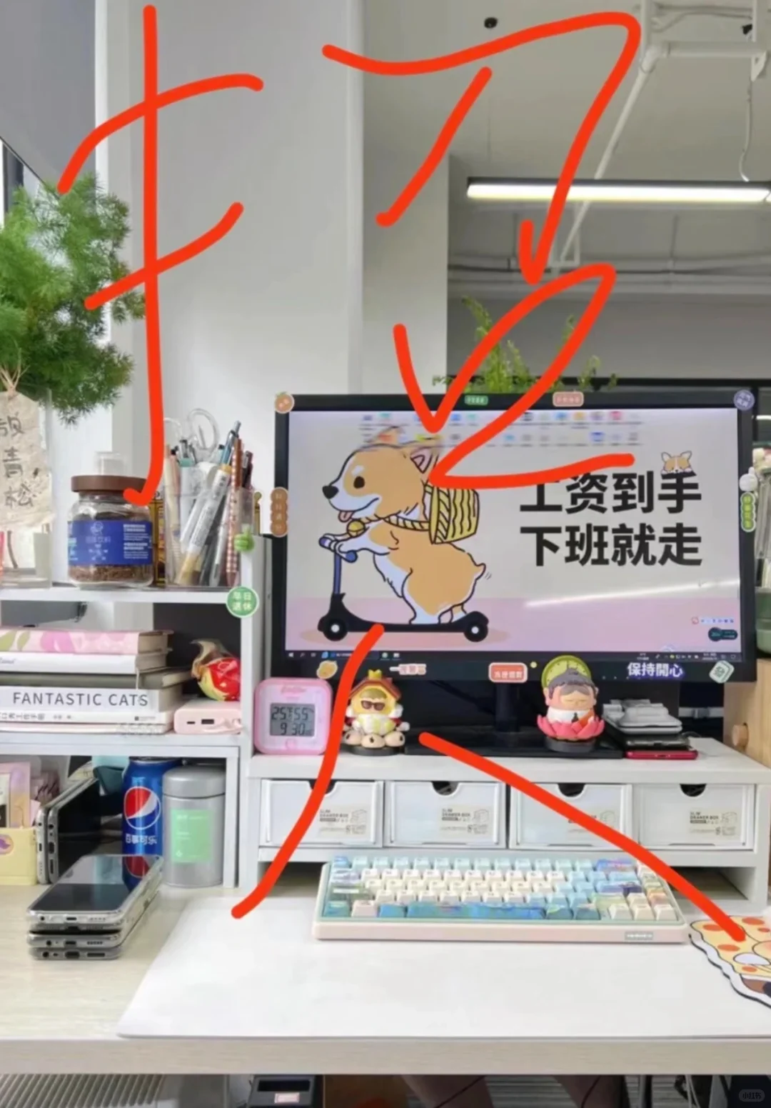 重庆招人，还没找到工作的姐妹看过来