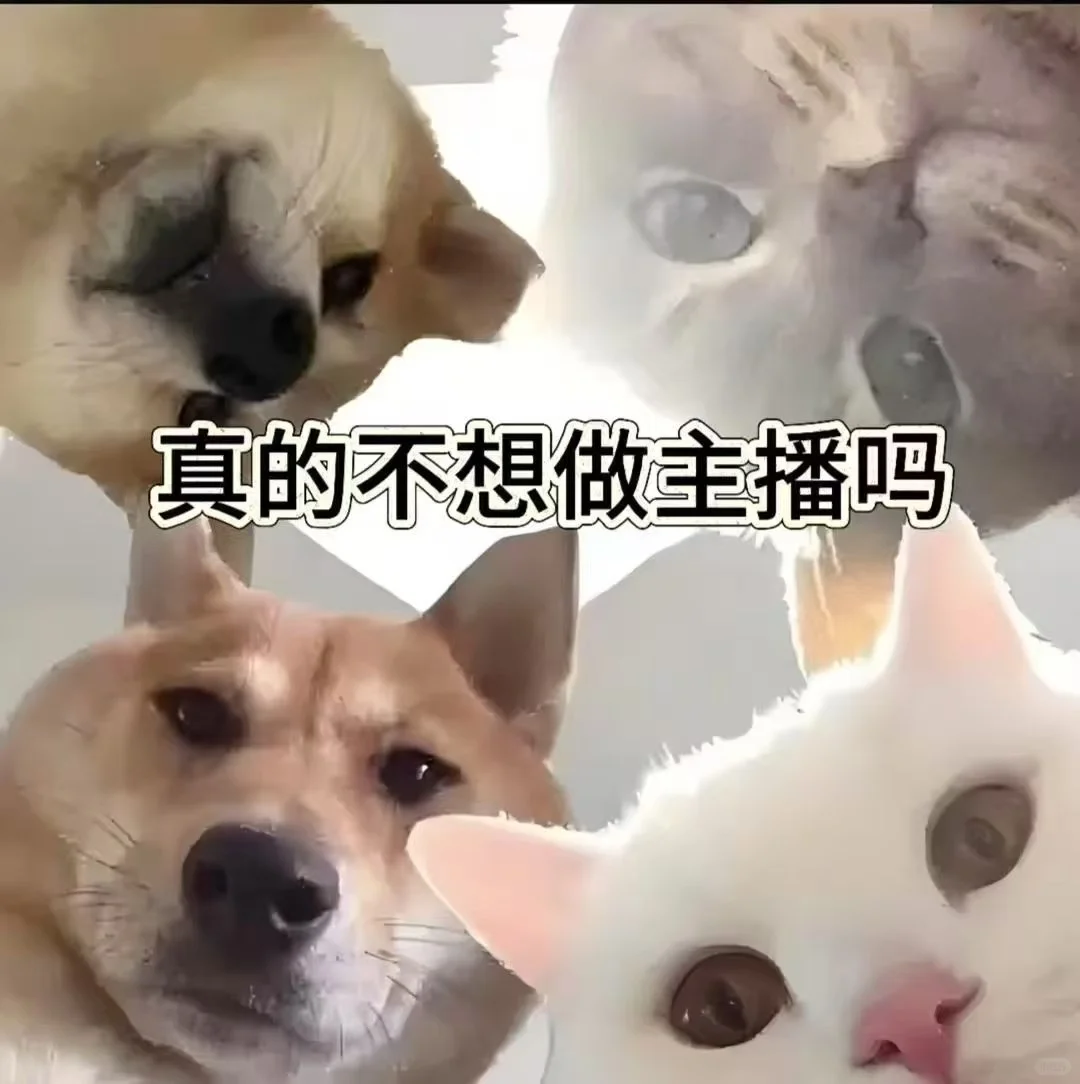 能不能做主播啊～～～