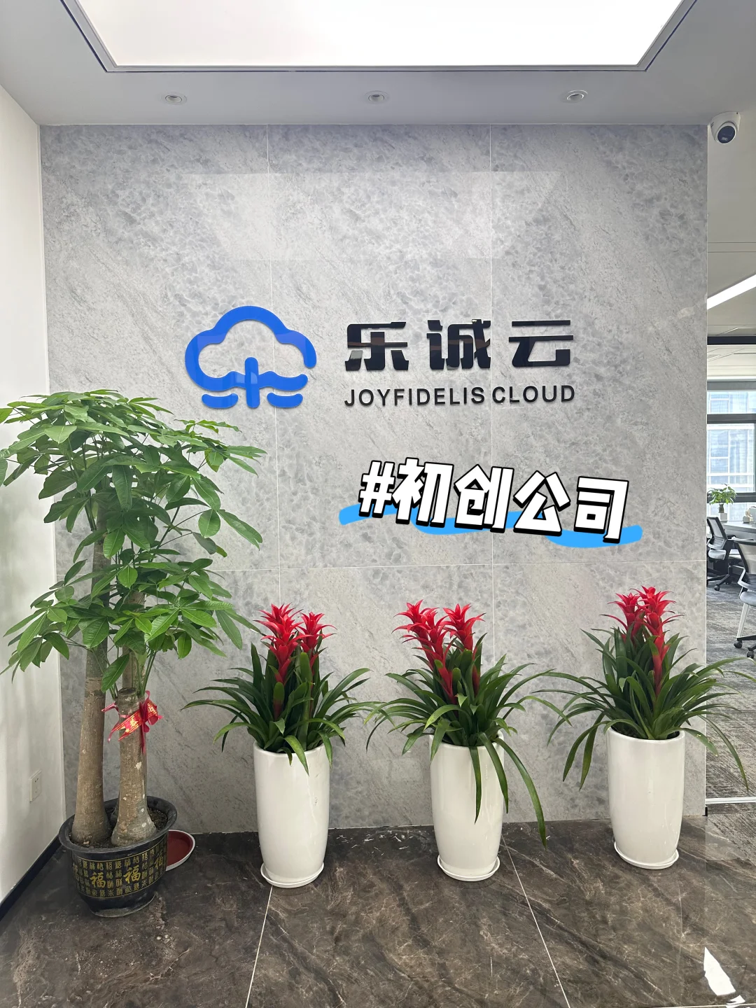 有人愿意试试初创公司吗？