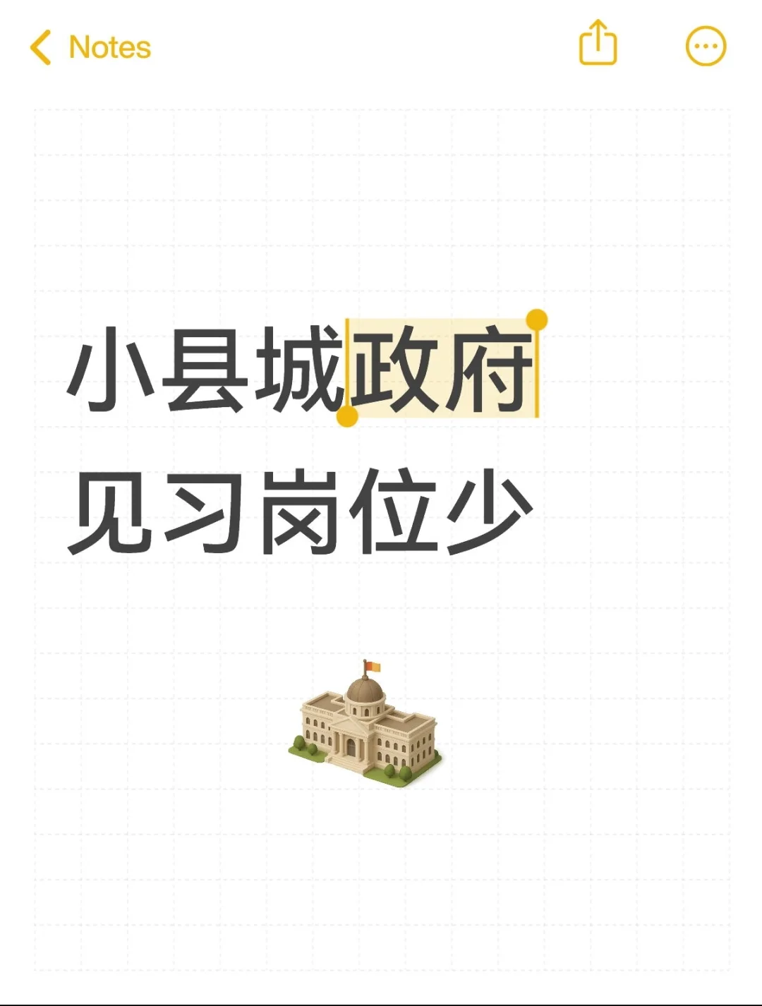 政府见习