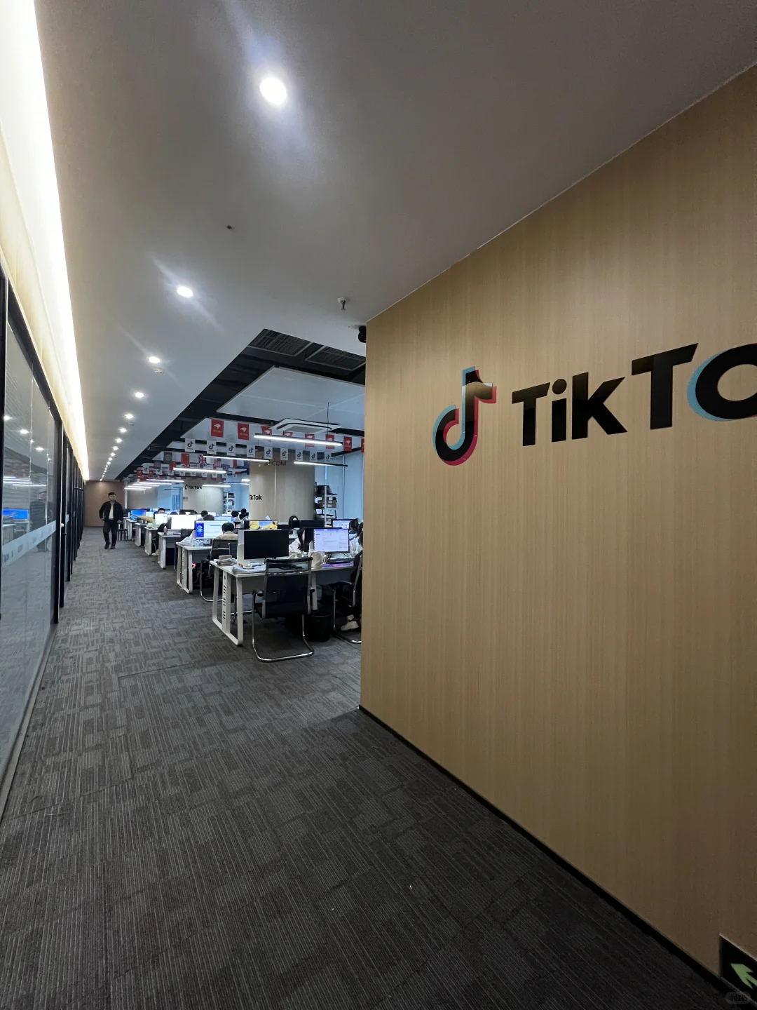 为什么今年身边能人都跑去做TikTok公会了?