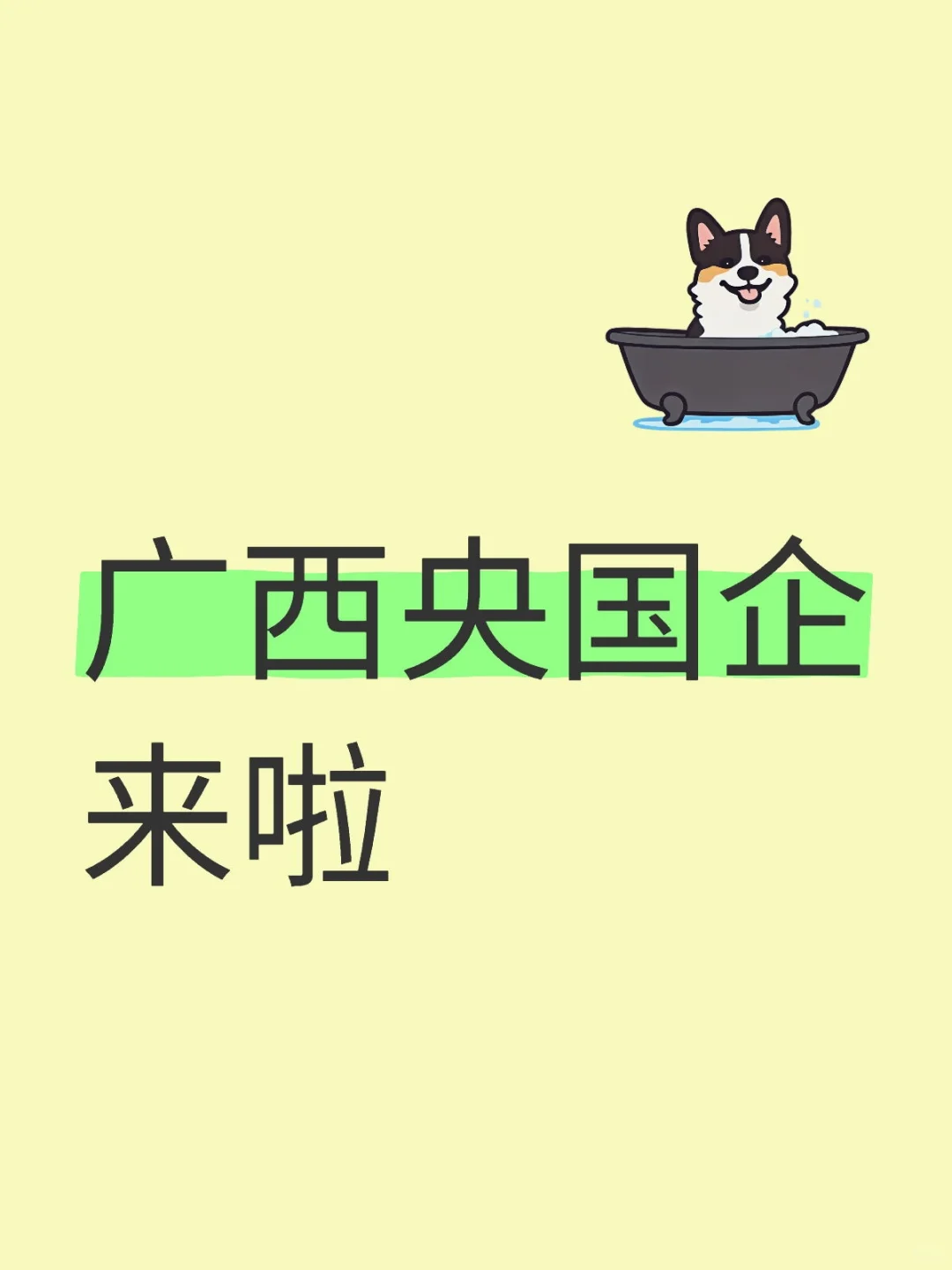 广西央国企