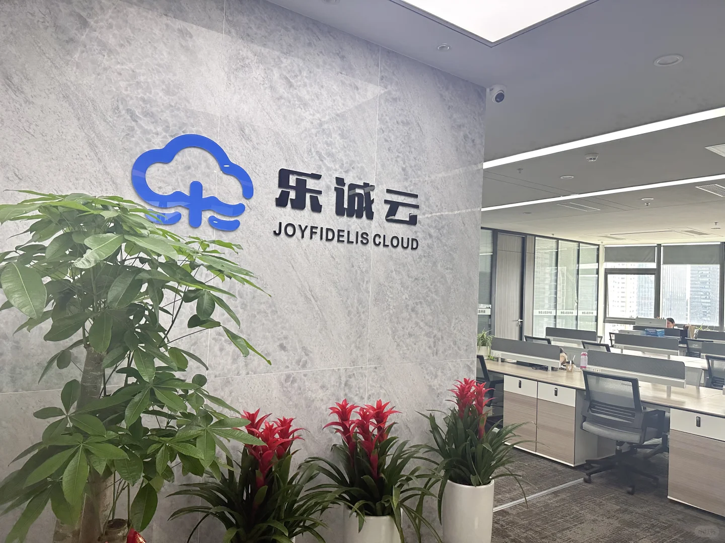有人愿意试试初创公司吗？