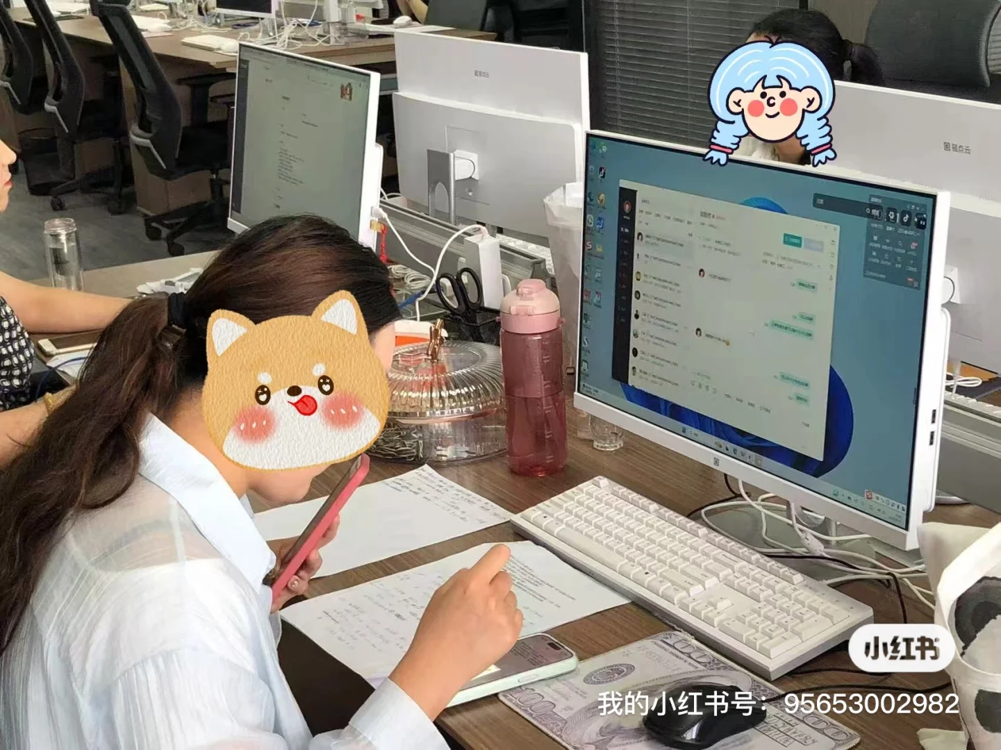 招办公室人事文员啦！