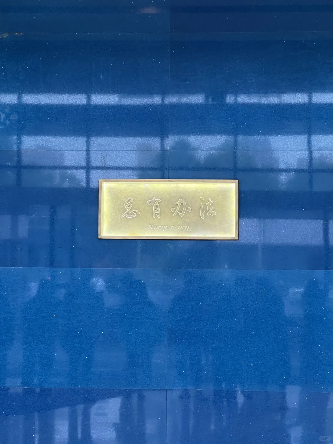 一个新综艺来招项目实习生啦啦啦