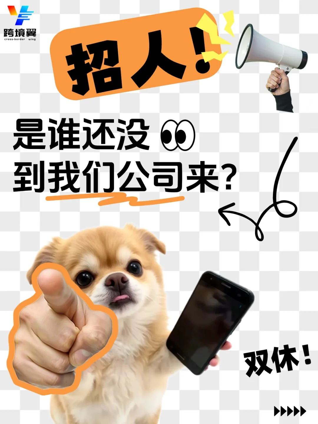 我们招人啦!岗位多多 诚聘 双休~