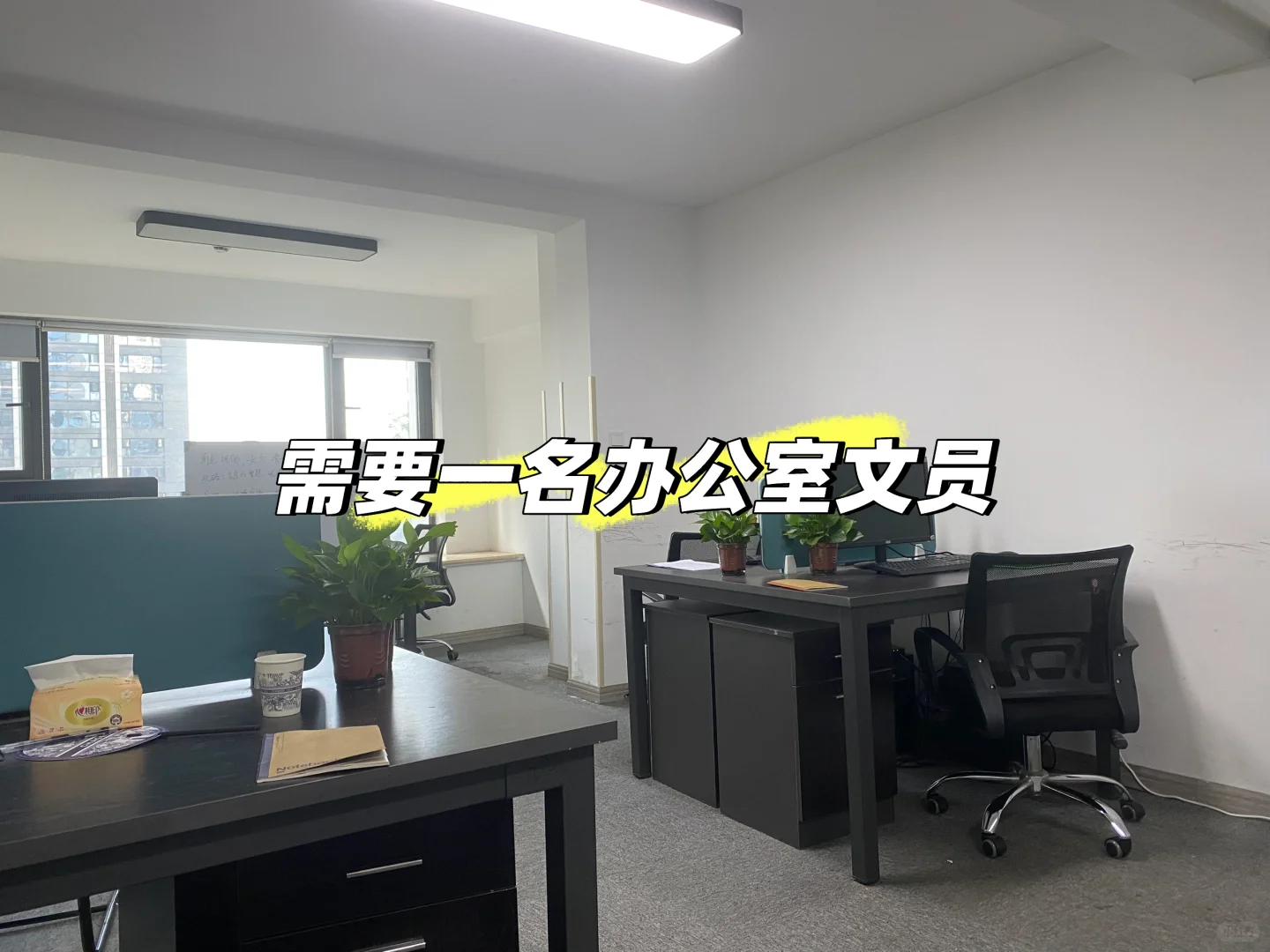 渝北金渝有人找工作吗？