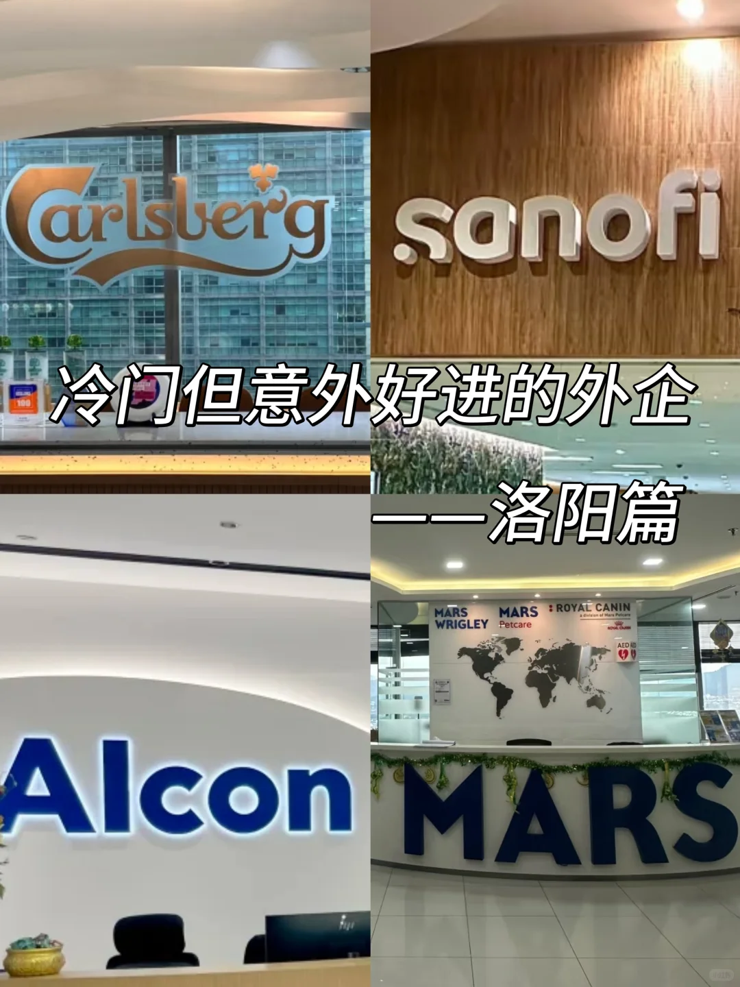 大学生冷门但意外好进的外企——洛阳篇