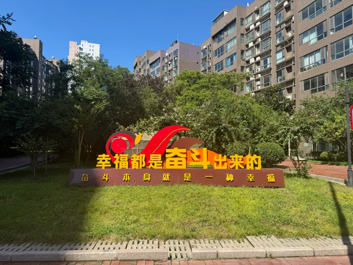 重生之我在社区当书记