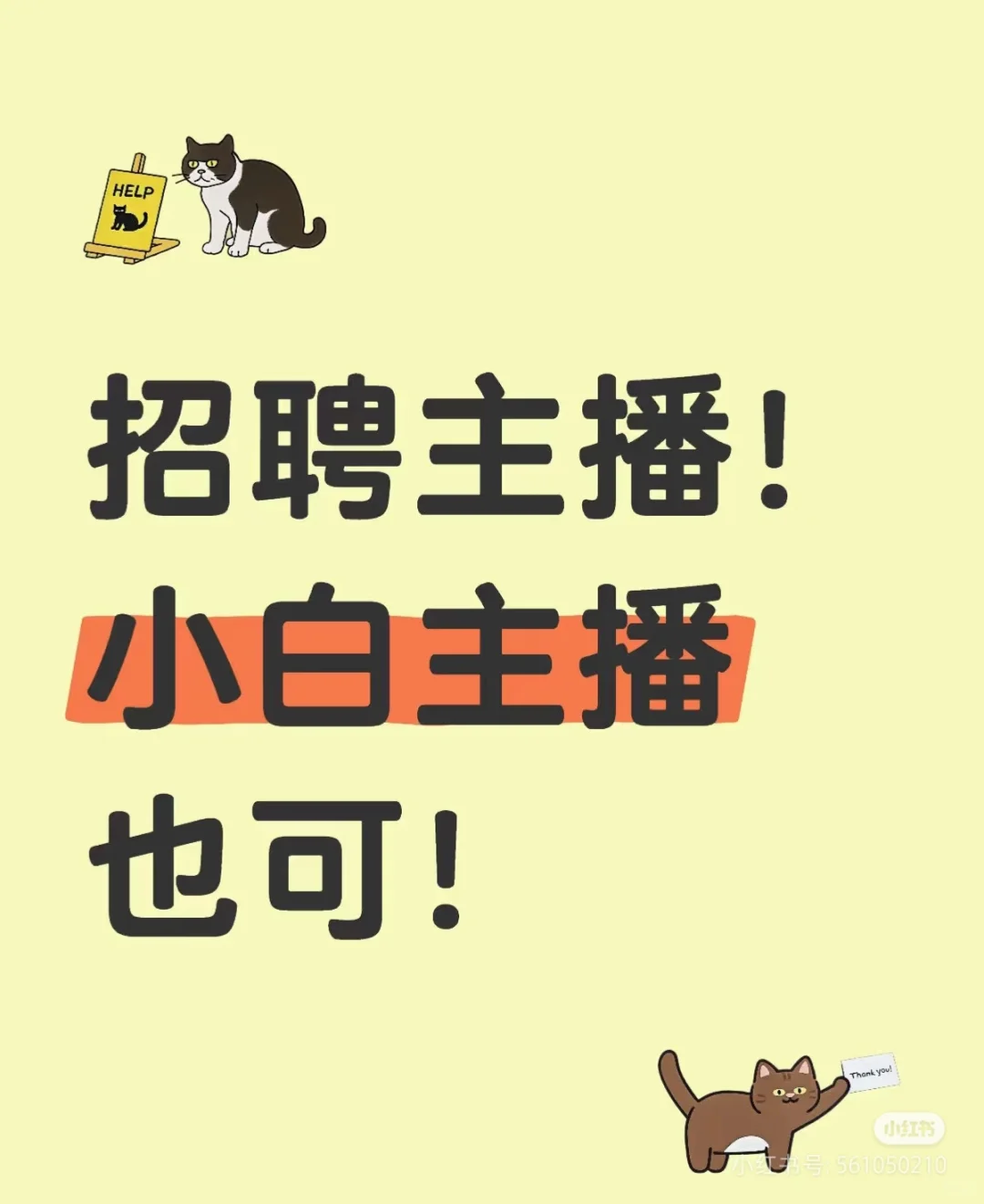 招聘主播,小白,无经验都可以做
