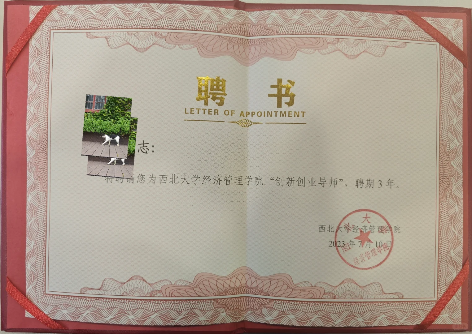 mark一下 母校的聘书～