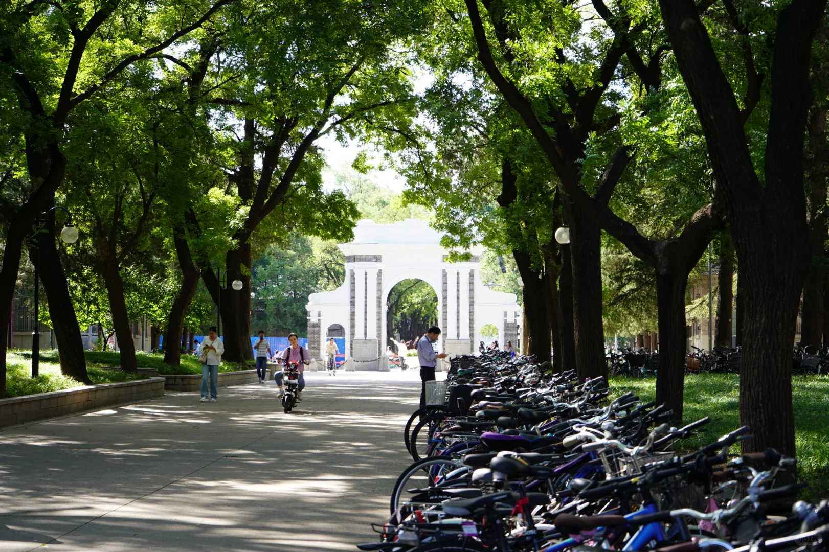 招聘| 清华大学教务处招聘联盟合作主管岗