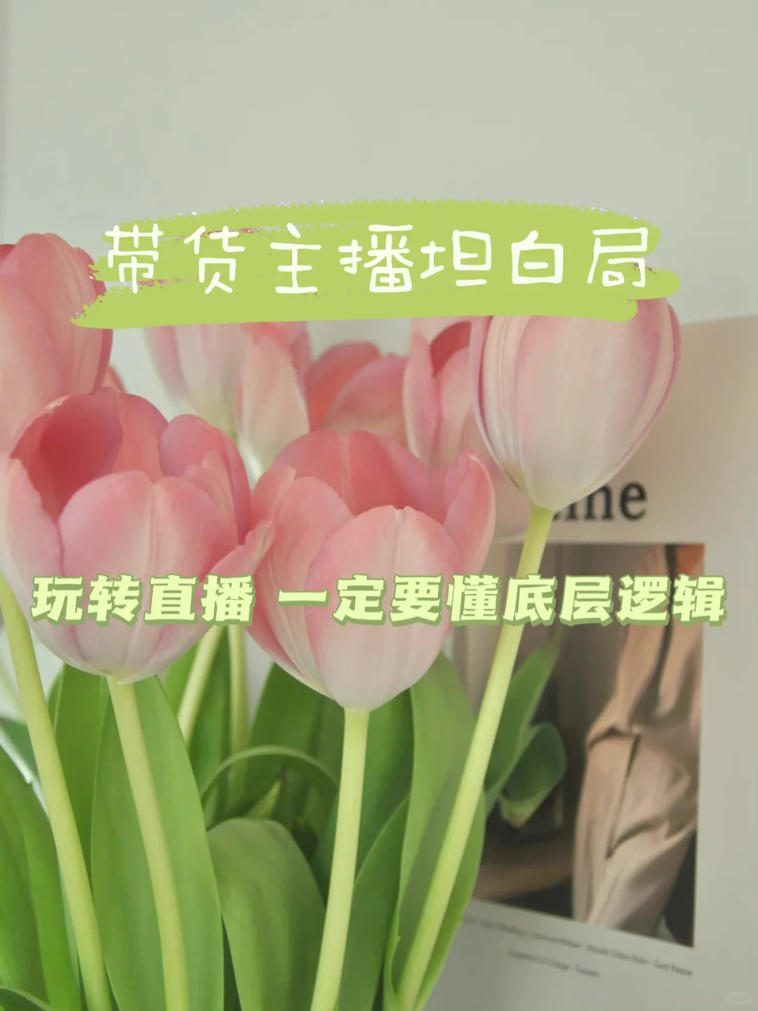 带货主播 | 小白一定要懂的直播逻辑❗️