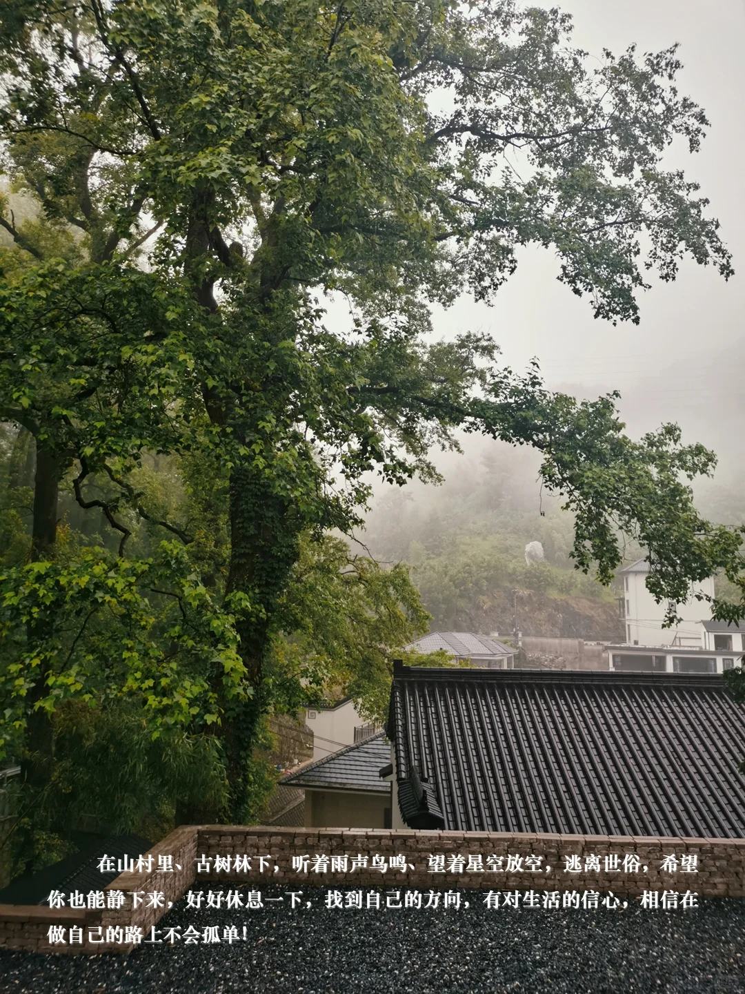 青年社区主理人介绍