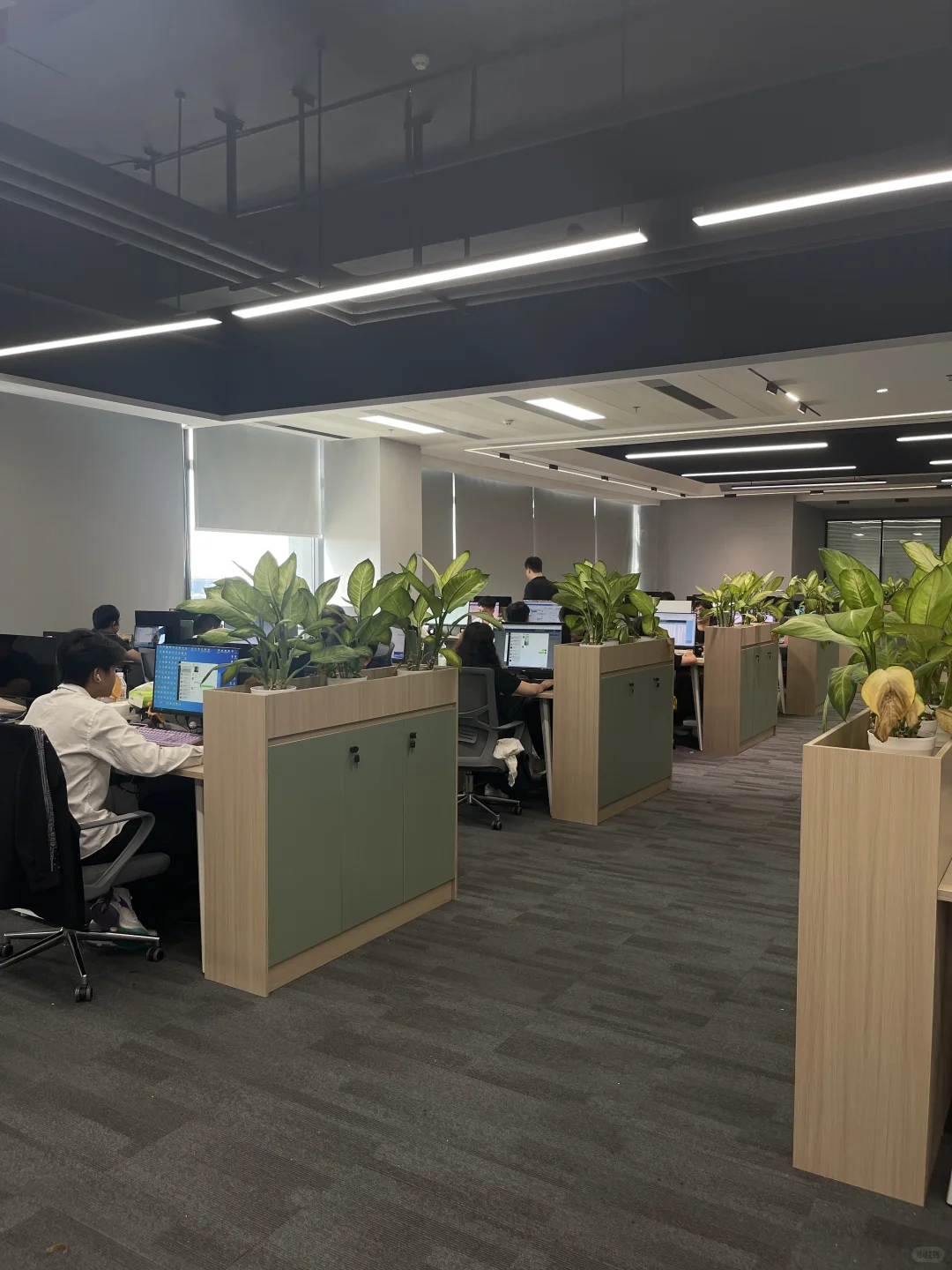 有人来我们公司上班吗?