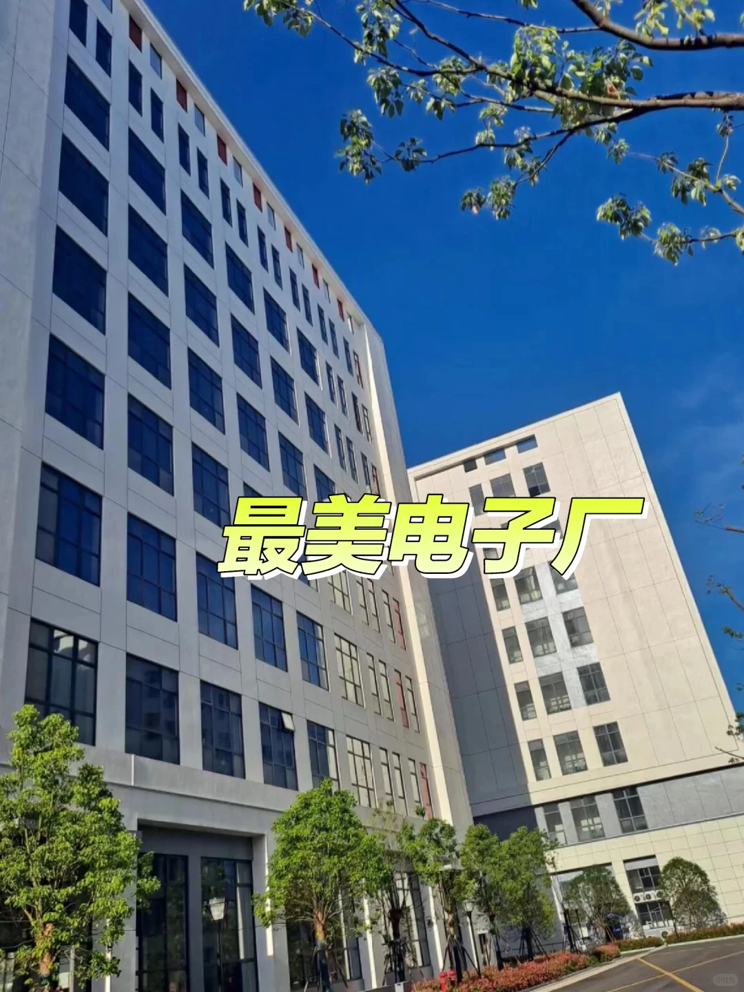 苏州电子厂,高薪急聘,待遇好,工作轻松