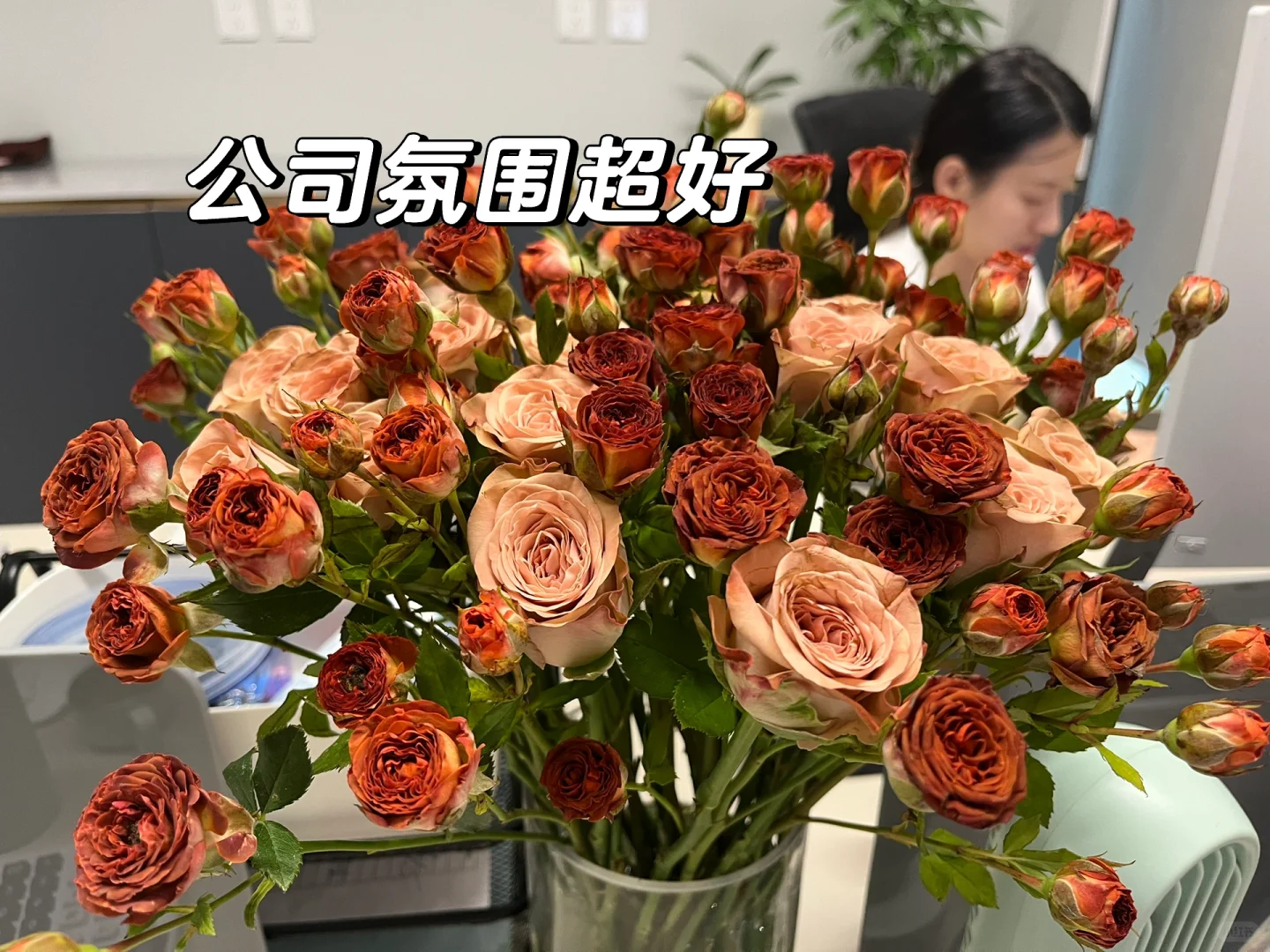 ?北京招聘医药招标专员‼️双休?氛围超好?