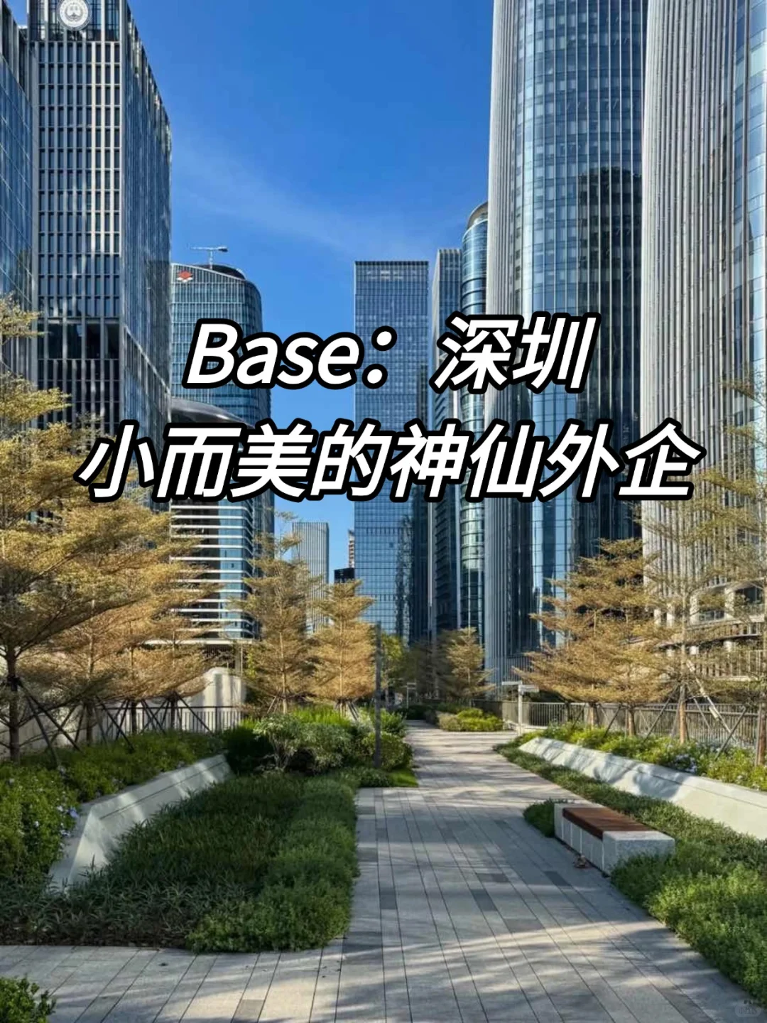 深圳小而美的神仙外企