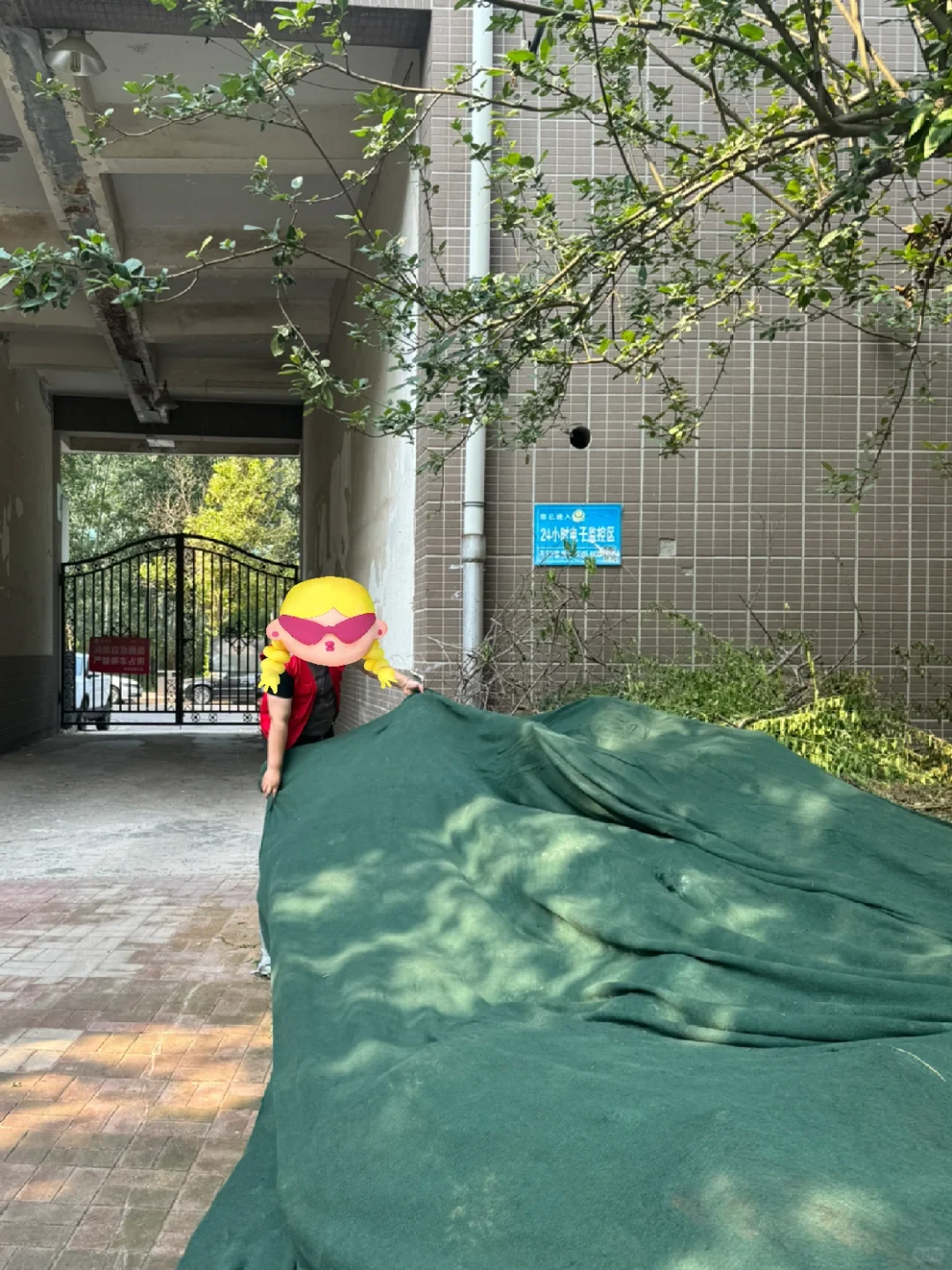 重生之我在社区当书记