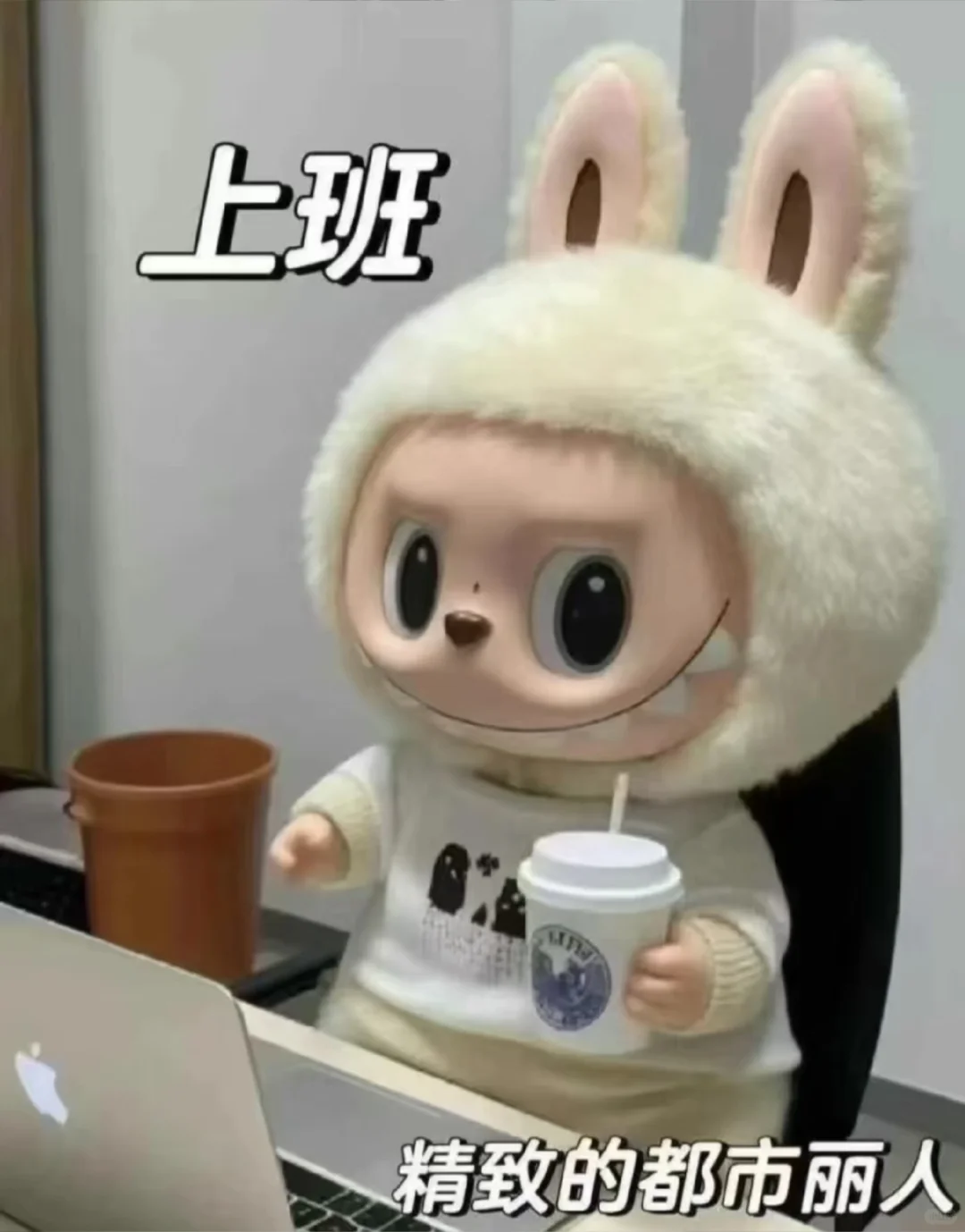 我要上班！！！上美美的班！！！(遵义)