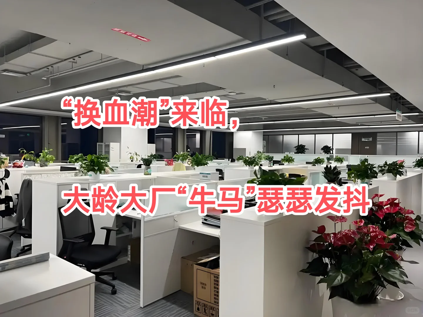 大厂们扩招应届生，大龄打工人该瑟瑟发抖了