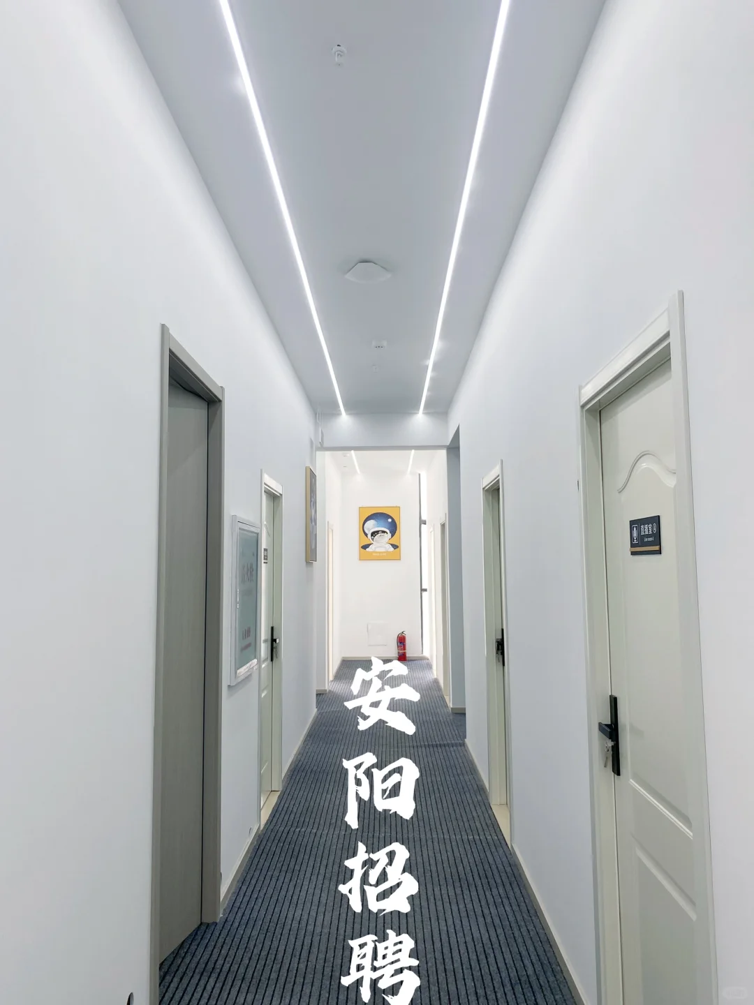 还不快来看看