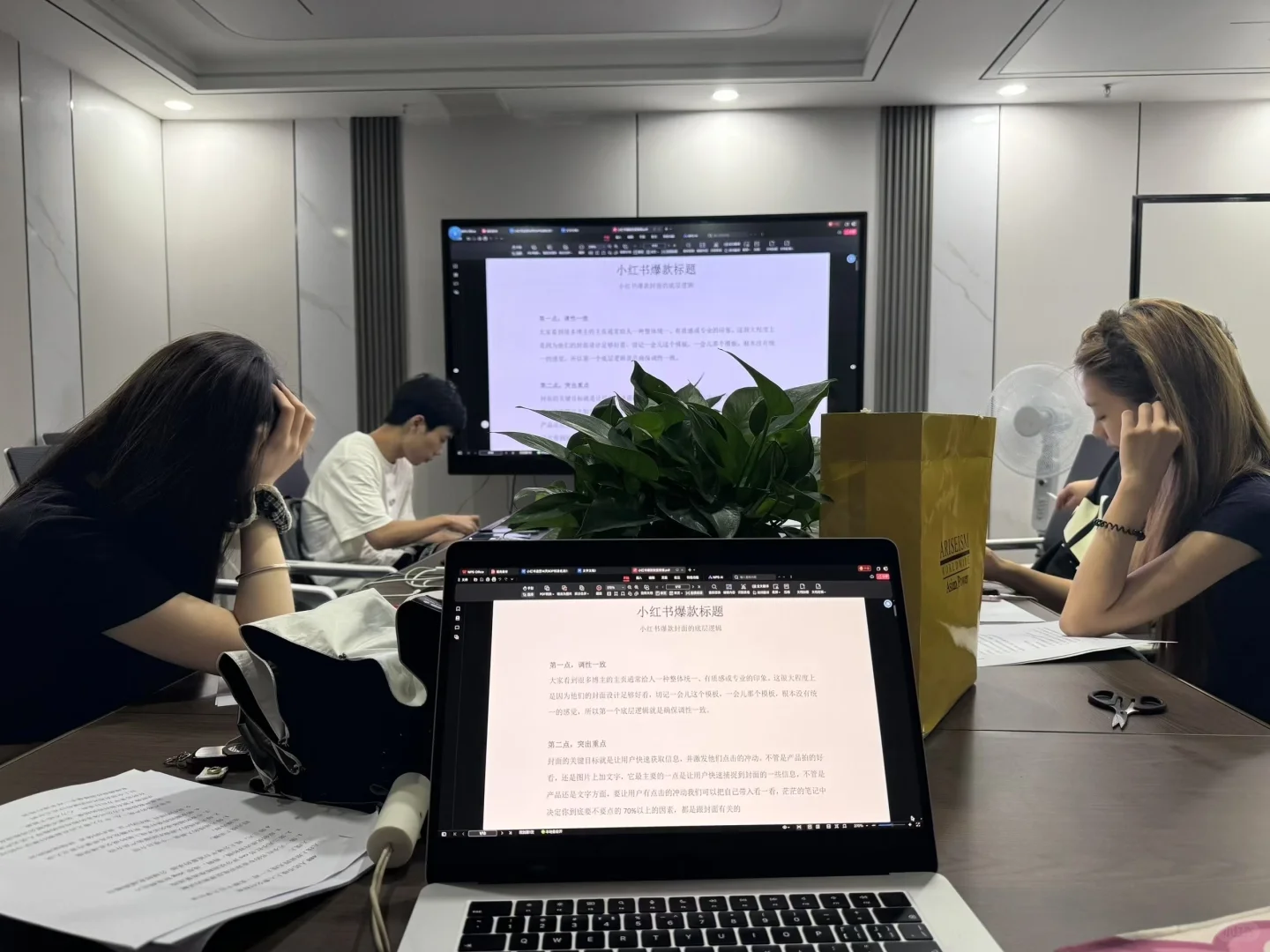 寻人才啦，00后创业公司！