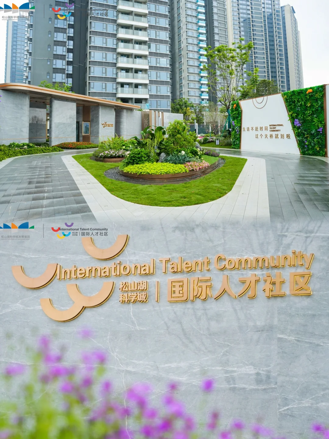国际人才社区|解锁活力中轴