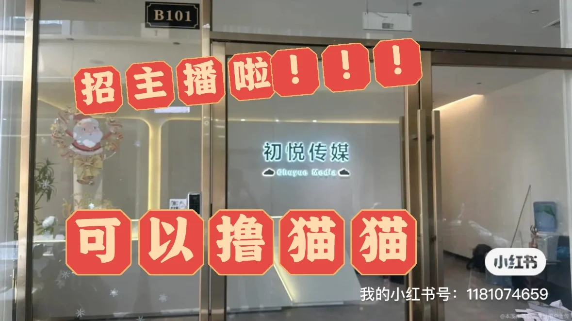 想当网红的请举手！初悦传媒！！！