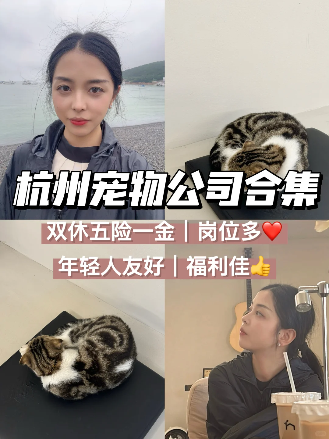 杭州宠物公司合集?福利佳、年轻人友好?