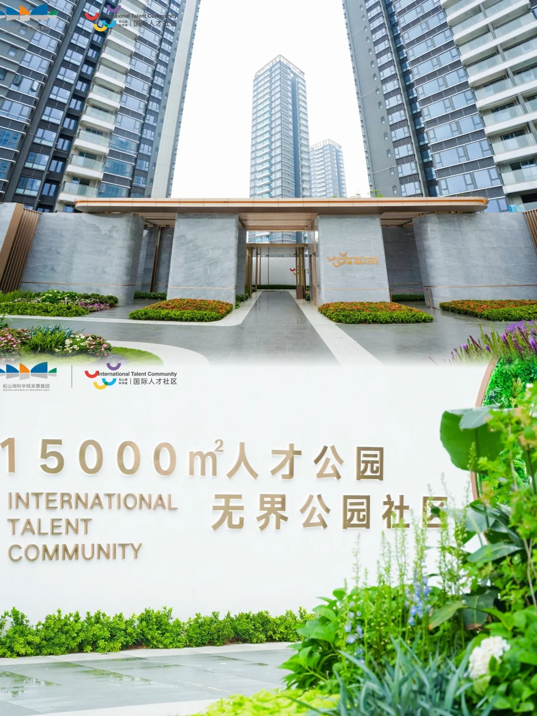 国际人才社区|解锁活力中轴