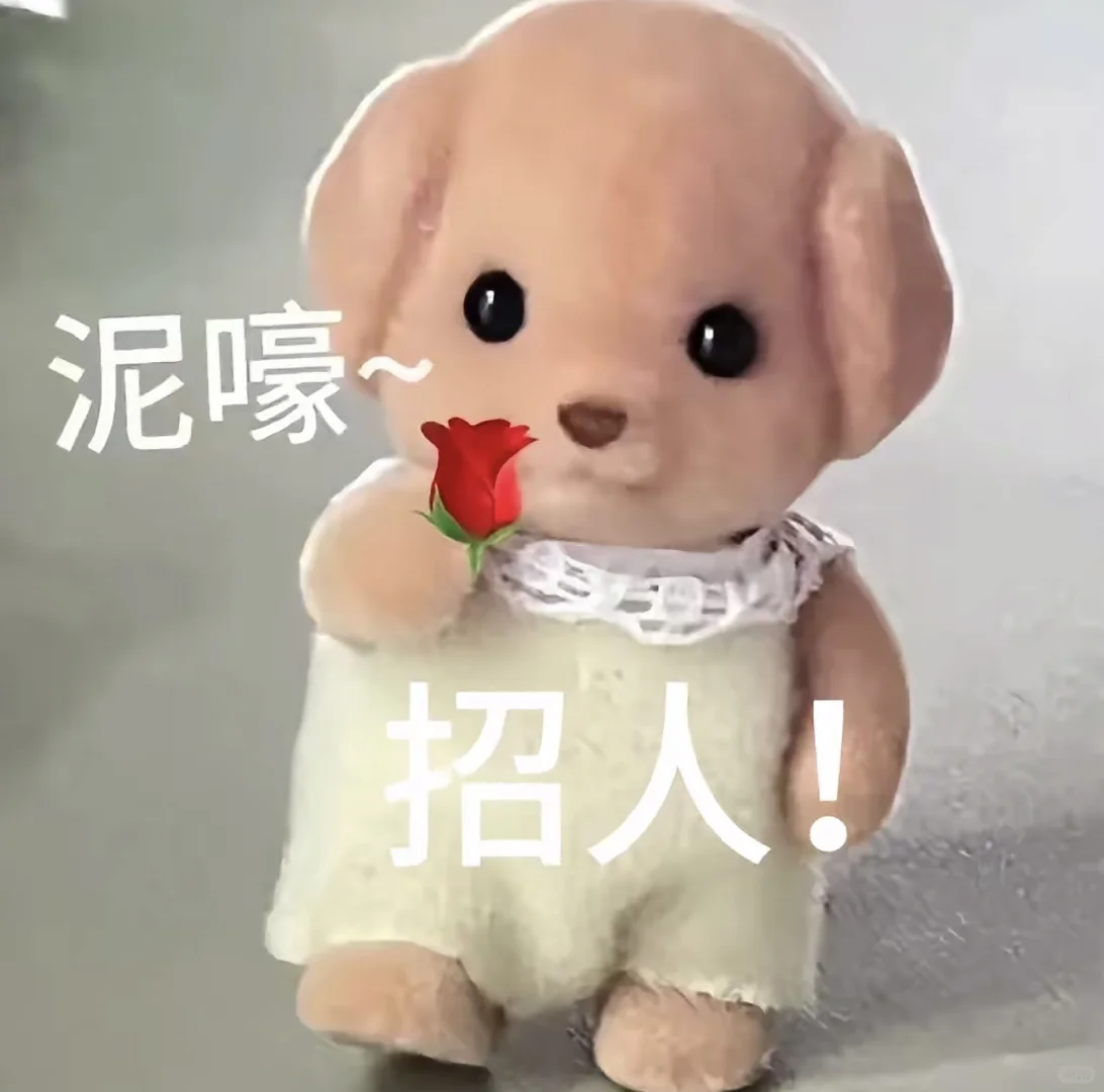 招人！快来！快来！快来！