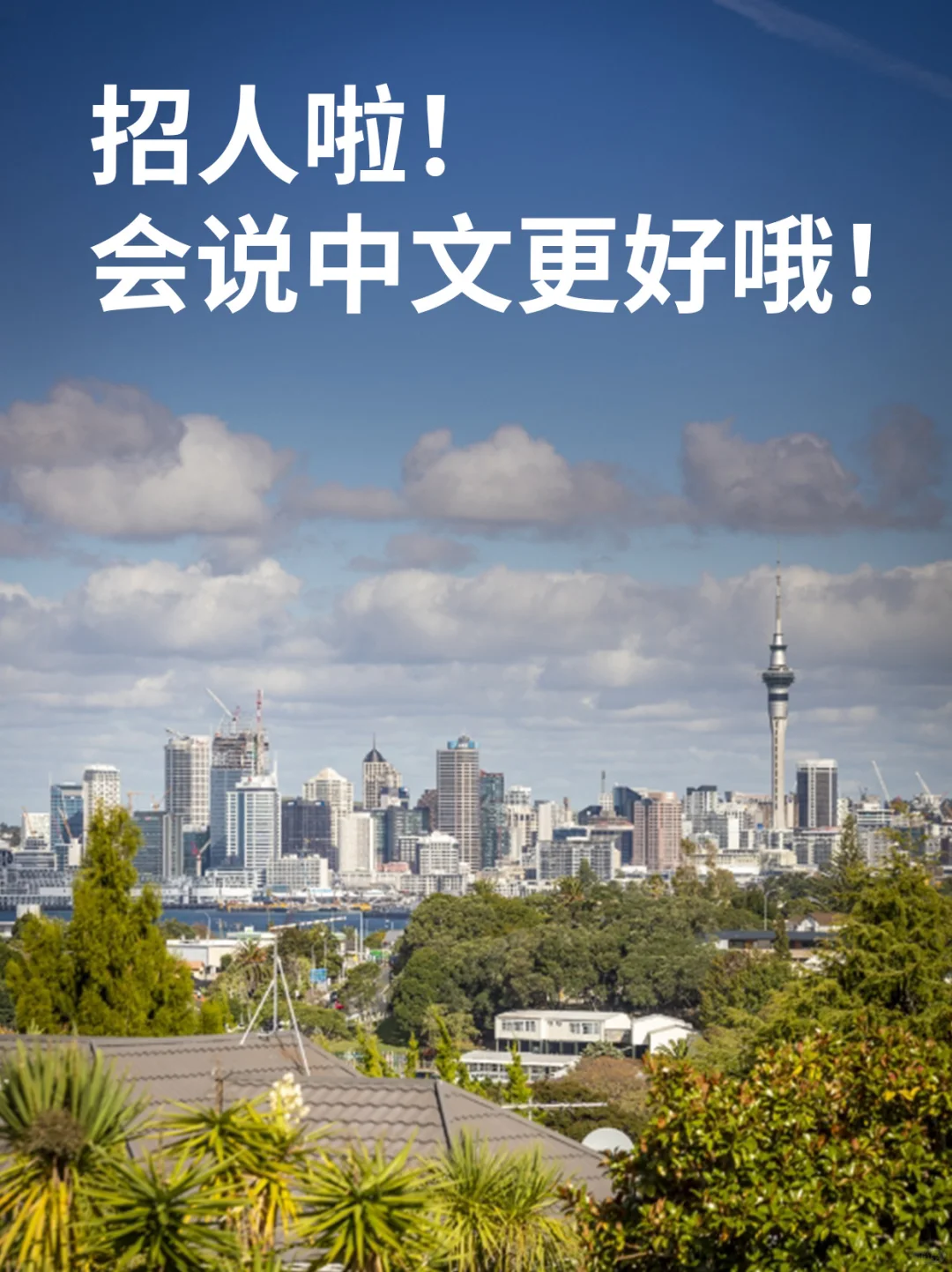奥克兰北岸高薪招聘！公司配车，好多福利！