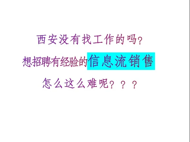 高薪招聘信息流销售高手