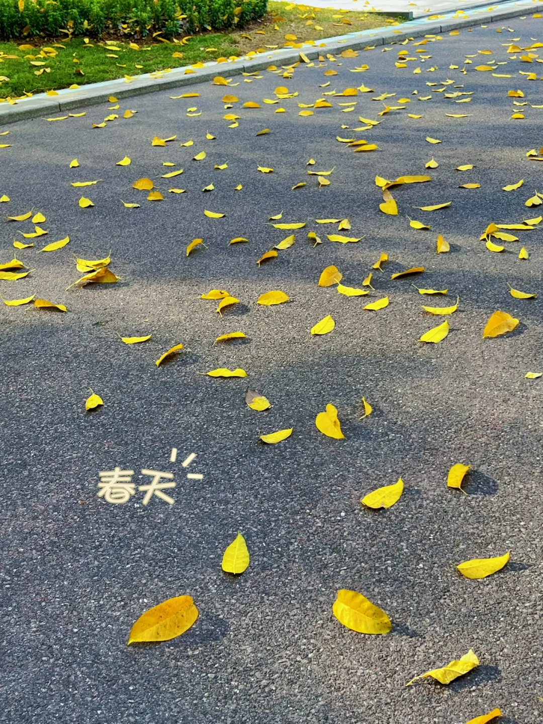 朋友圈文案～