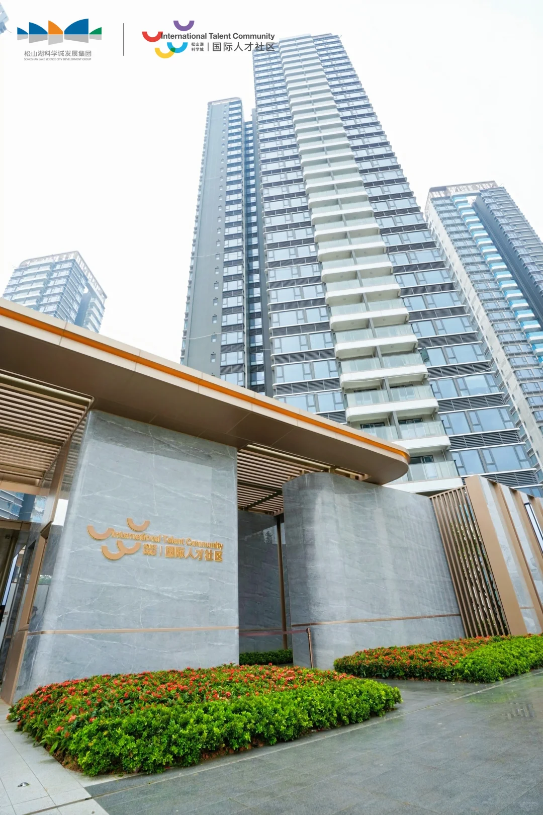 国际人才社区|解锁活力中轴
