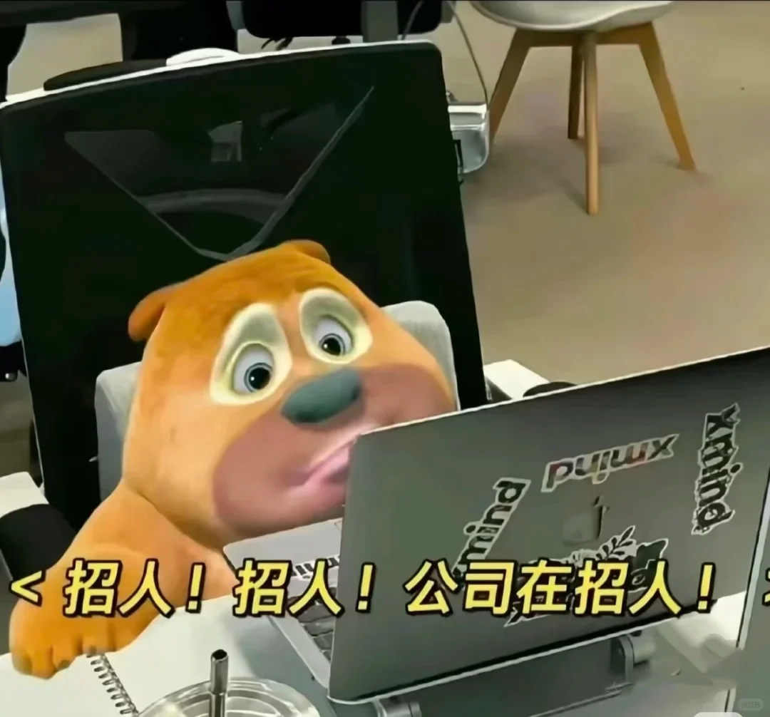 工作报告：我想招点人???
