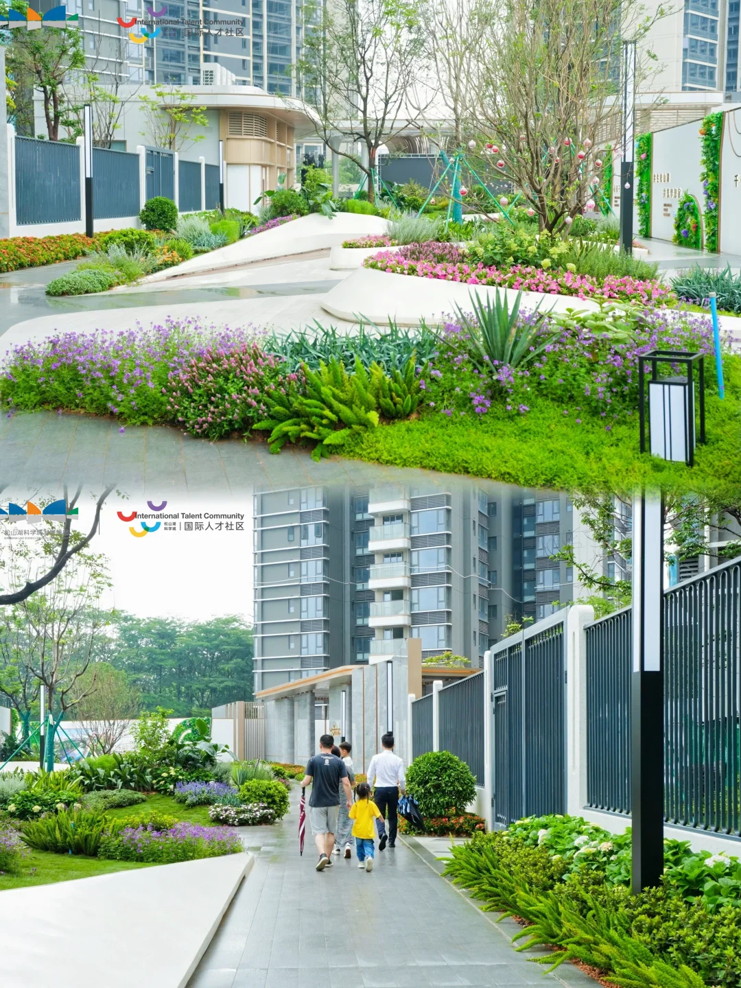 国际人才社区|解锁活力中轴