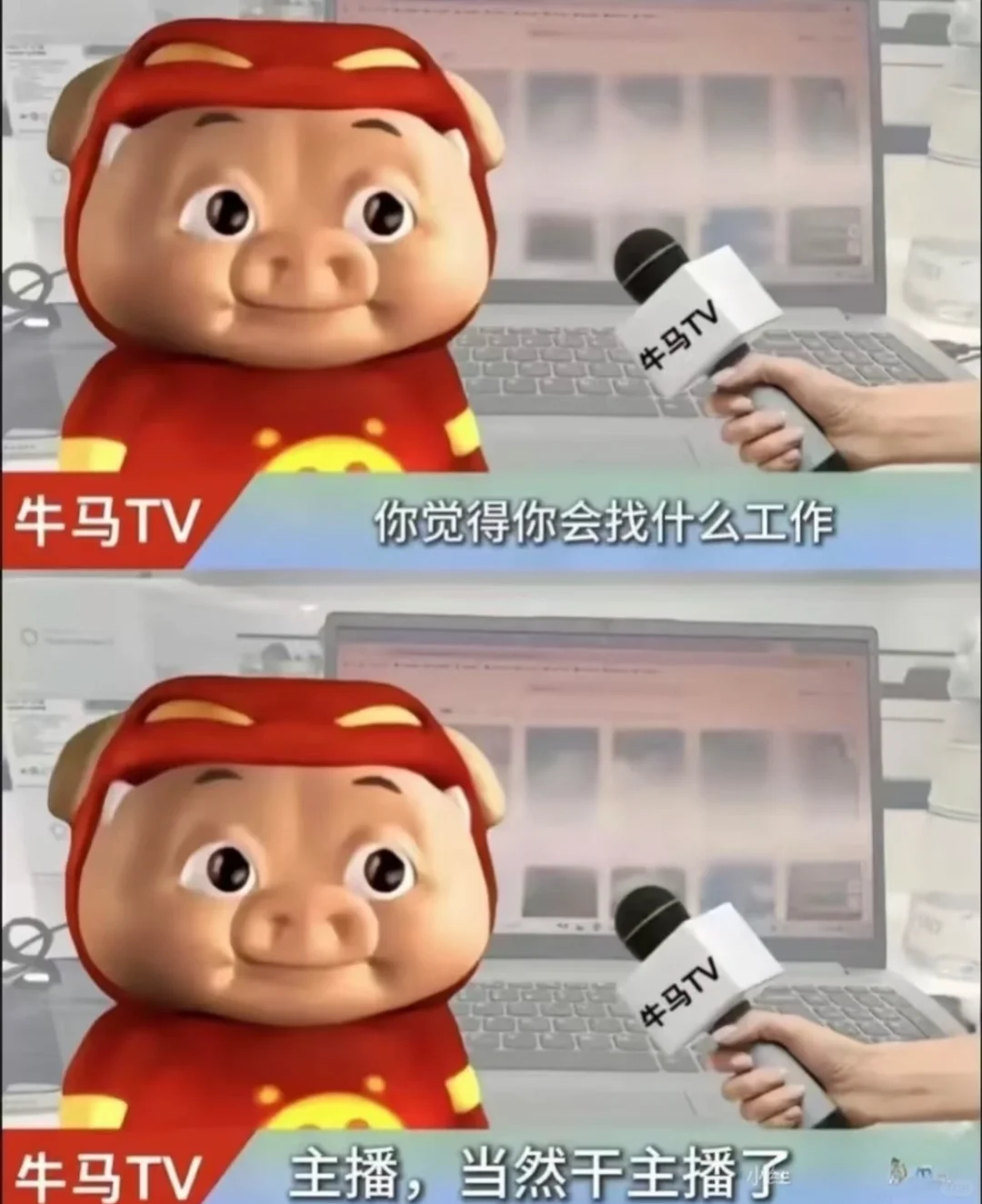 重生之我在长沙当主播———