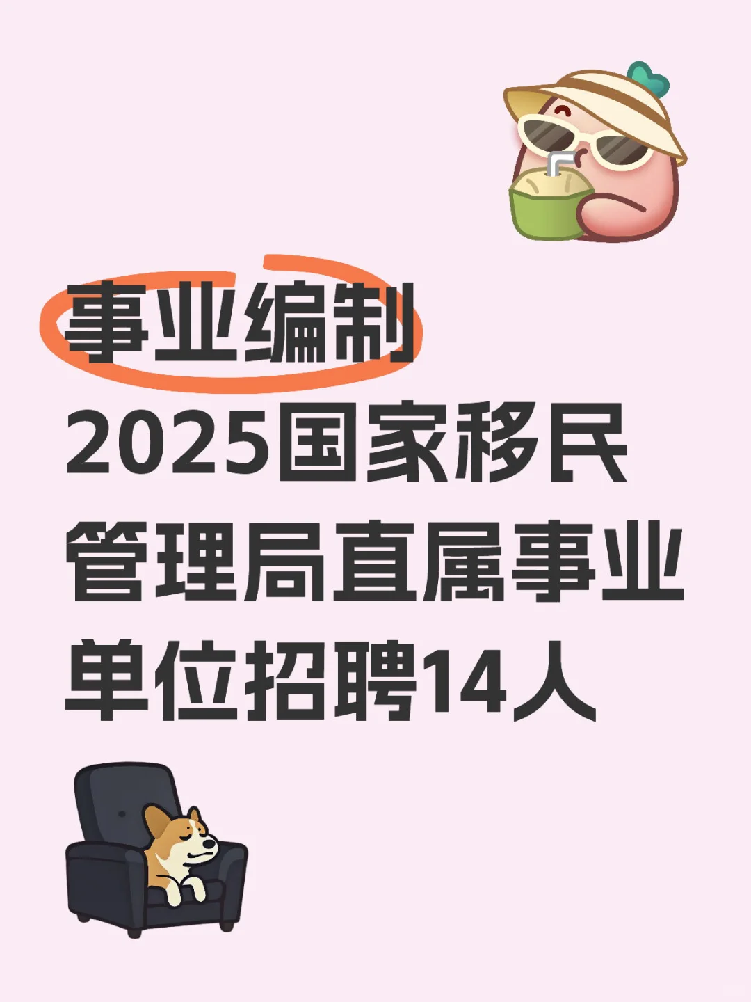 国家移民管理局招聘14人 事业编制❗️
