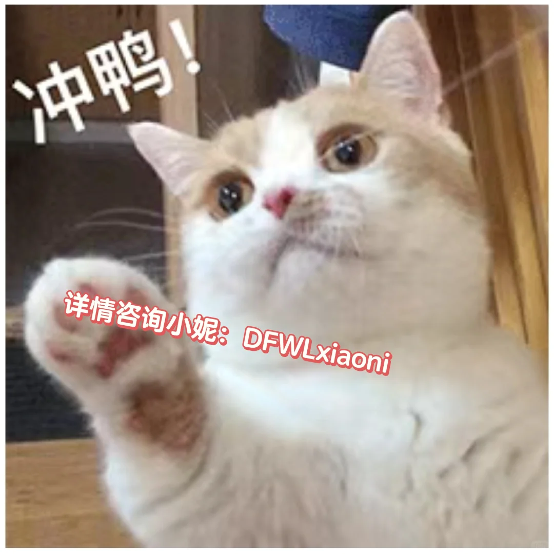 什么?武汉选聘生开始选聘啦??