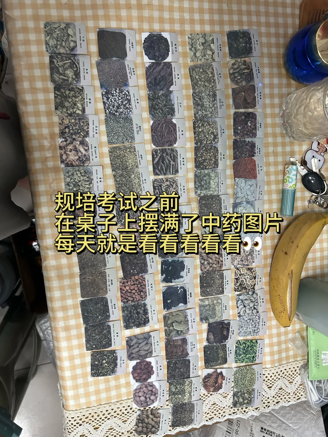 建议医学生:提前一年开始找工作