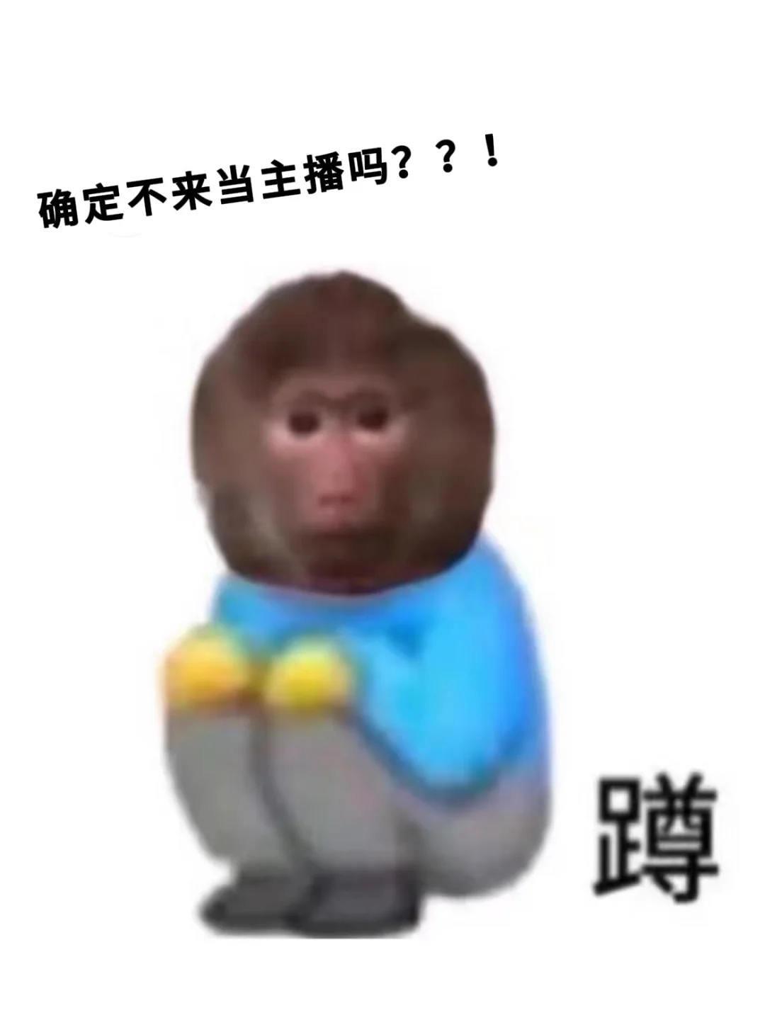 俺老孙来招主播啦 招主播啦