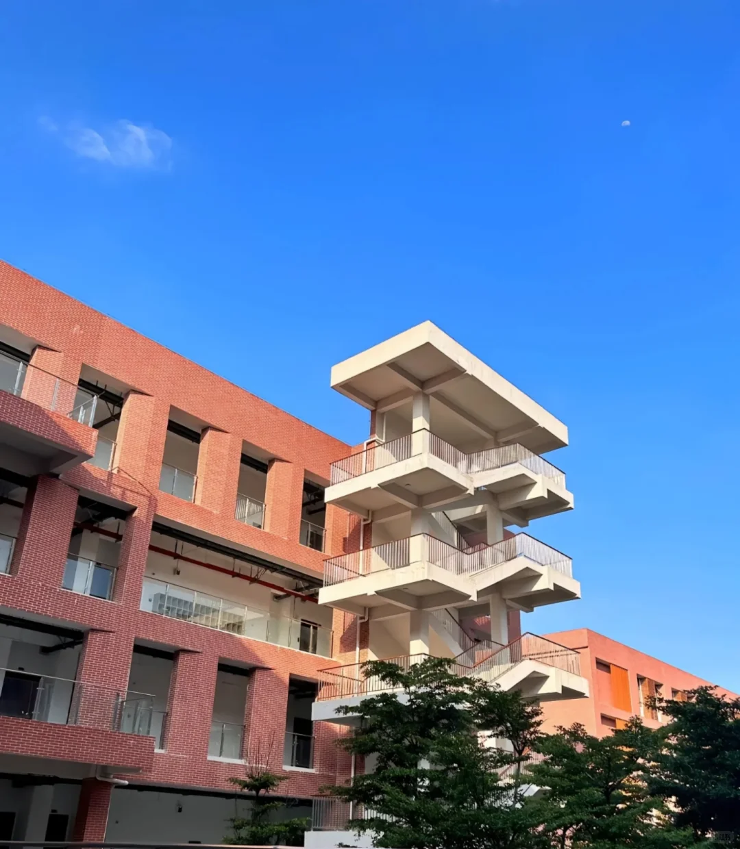 广西幼儿师范高等专科学校招聘,全面透析