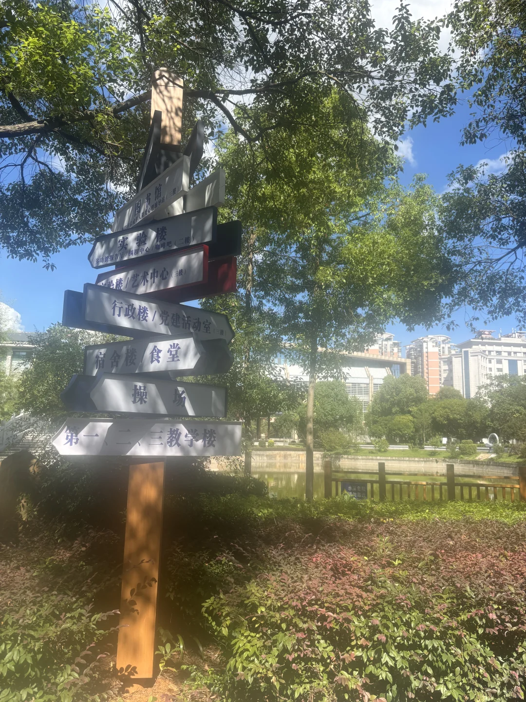衡阳市教师招聘跑空了，还得再来！
