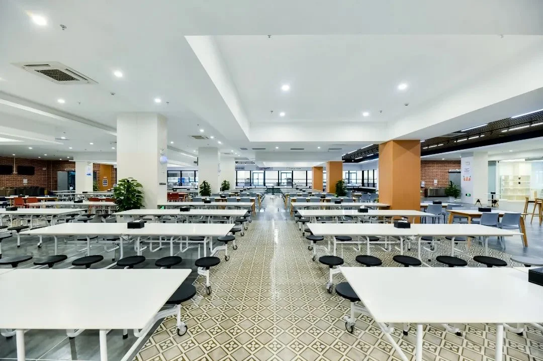 《海南省》的新“国际”学校项目